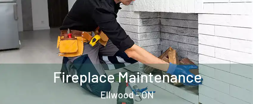  Fireplace Maintenance Ellwood - ON