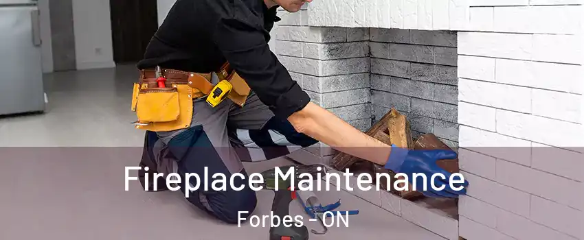  Fireplace Maintenance Forbes - ON