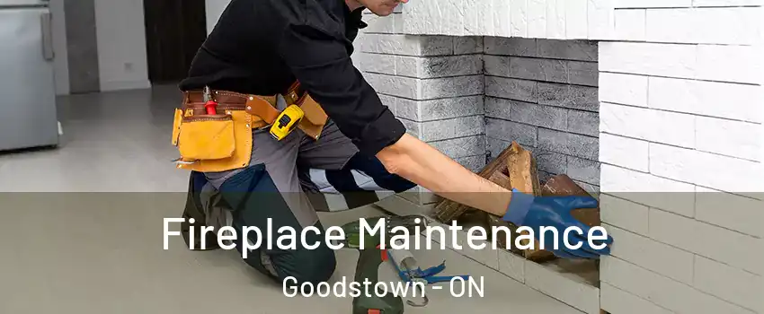  Fireplace Maintenance Goodstown - ON