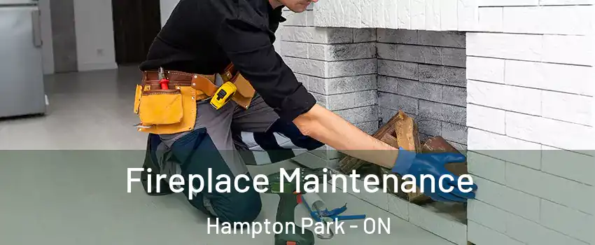  Fireplace Maintenance Hampton Park - ON