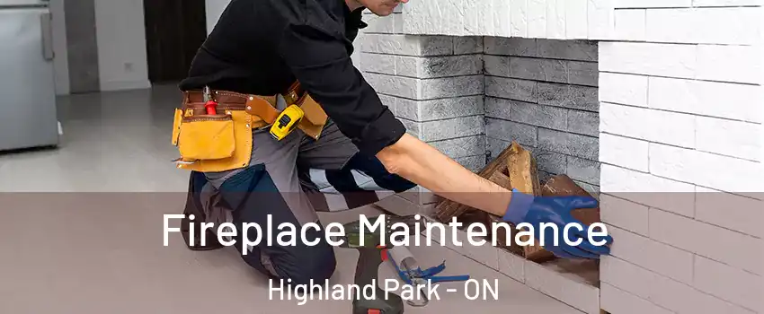  Fireplace Maintenance Highland Park - ON