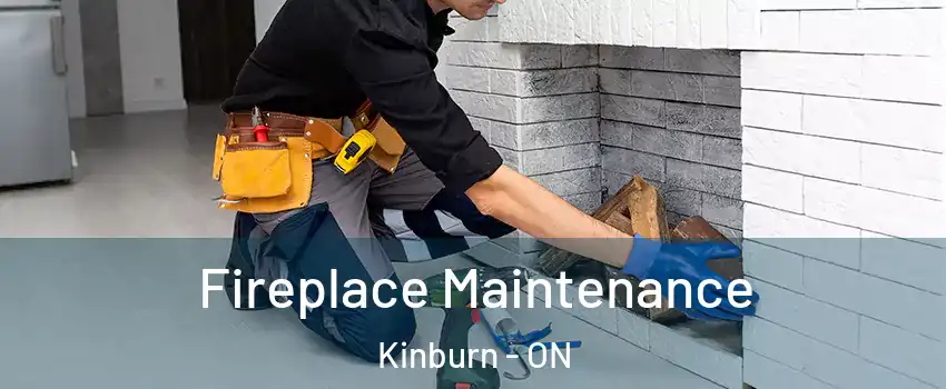  Fireplace Maintenance Kinburn - ON