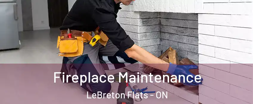  Fireplace Maintenance LeBreton Flats - ON