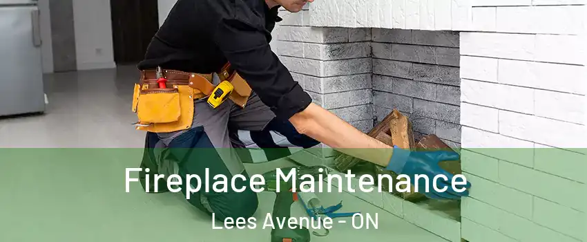  Fireplace Maintenance Lees Avenue - ON