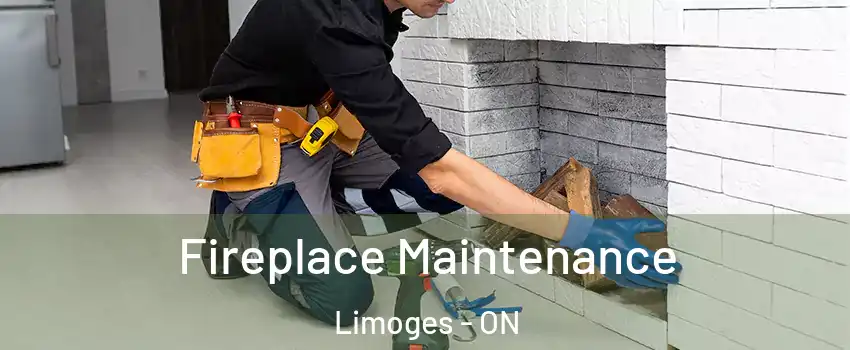  Fireplace Maintenance Limoges - ON