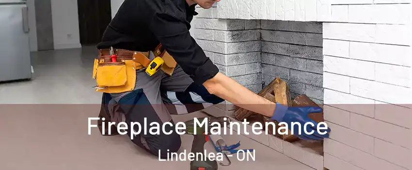  Fireplace Maintenance Lindenlea - ON