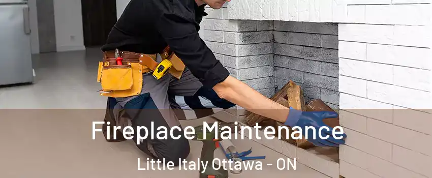  Fireplace Maintenance Little Italy Ottawa - ON