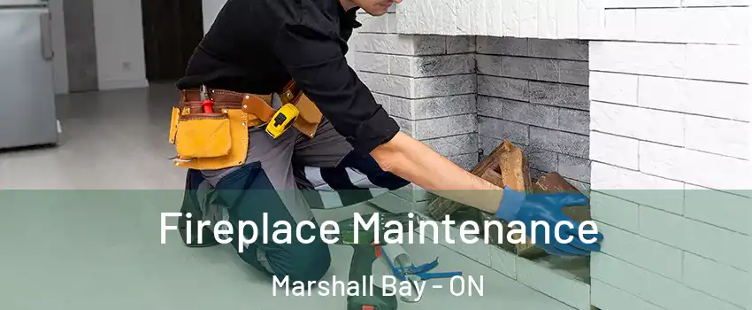  Fireplace Maintenance Marshall Bay - ON