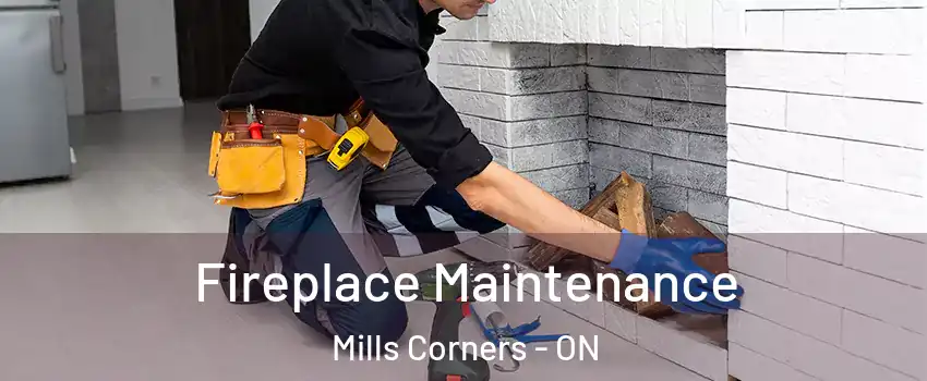  Fireplace Maintenance Mills Corners - ON