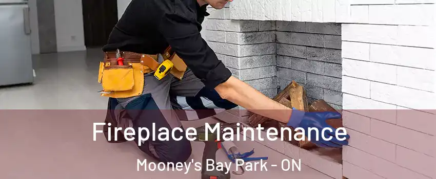  Fireplace Maintenance Mooney's Bay Park - ON