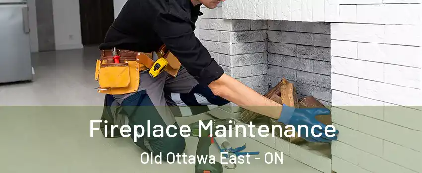  Fireplace Maintenance Old Ottawa East - ON