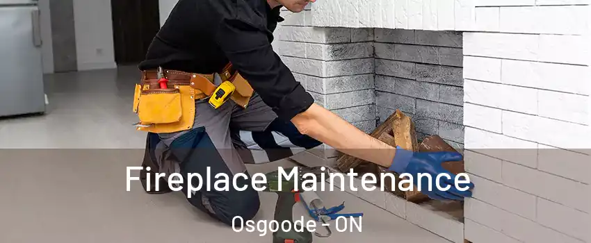  Fireplace Maintenance Osgoode - ON