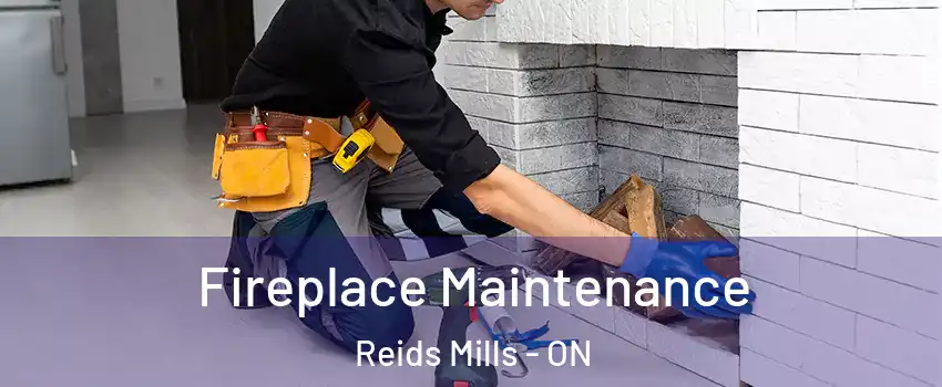  Fireplace Maintenance Reids Mills - ON