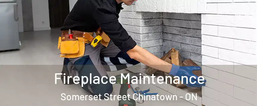  Fireplace Maintenance Somerset Street Chinatown - ON