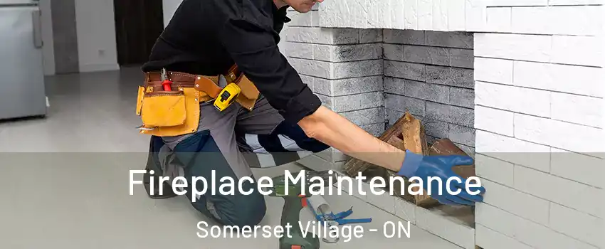  Fireplace Maintenance Somerset Village - ON