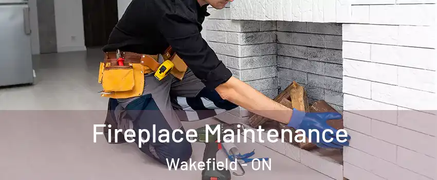  Fireplace Maintenance Wakefield - ON