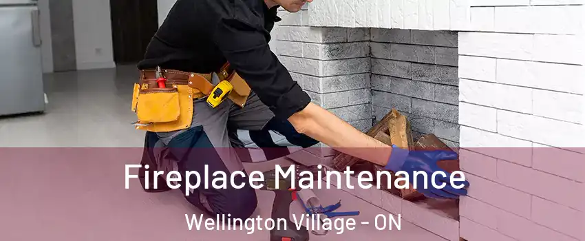  Fireplace Maintenance Wellington Village - ON