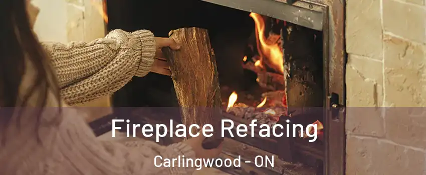  Fireplace Refacing Carlingwood - ON