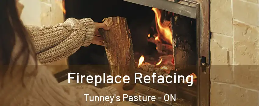  Fireplace Refacing Tunney's Pasture - ON