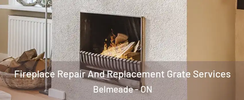  Fireplace Repair And Replacement Grate Services Belmeade - ON