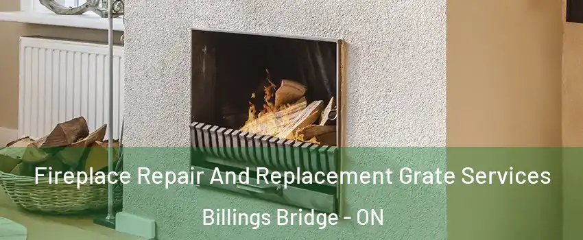  Fireplace Repair And Replacement Grate Services Billings Bridge - ON