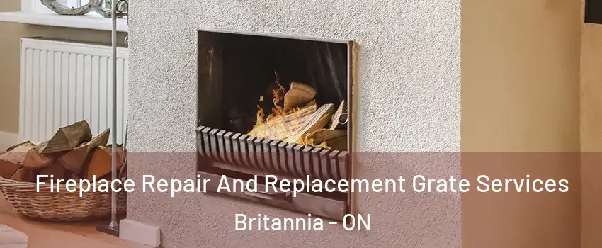  Fireplace Repair And Replacement Grate Services Britannia - ON