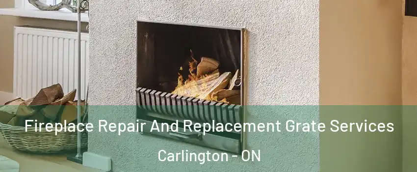  Fireplace Repair And Replacement Grate Services Carlington - ON