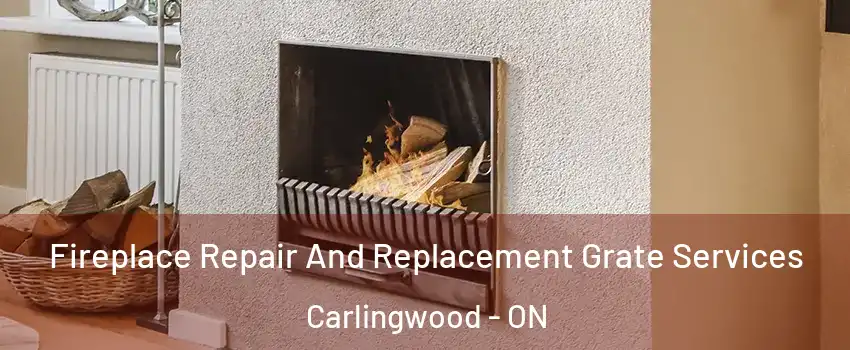  Fireplace Repair And Replacement Grate Services Carlingwood - ON