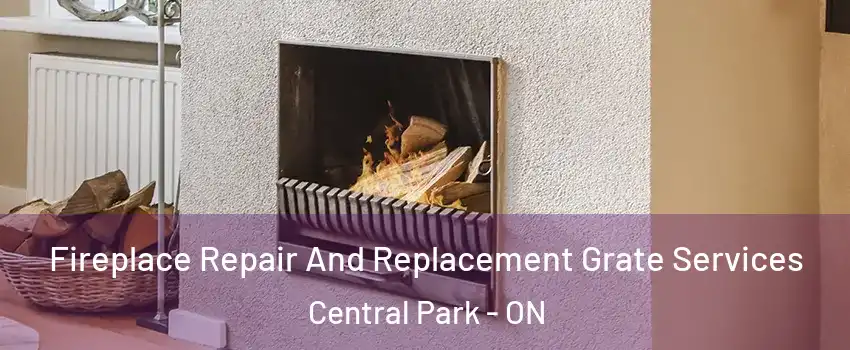  Fireplace Repair And Replacement Grate Services Central Park - ON