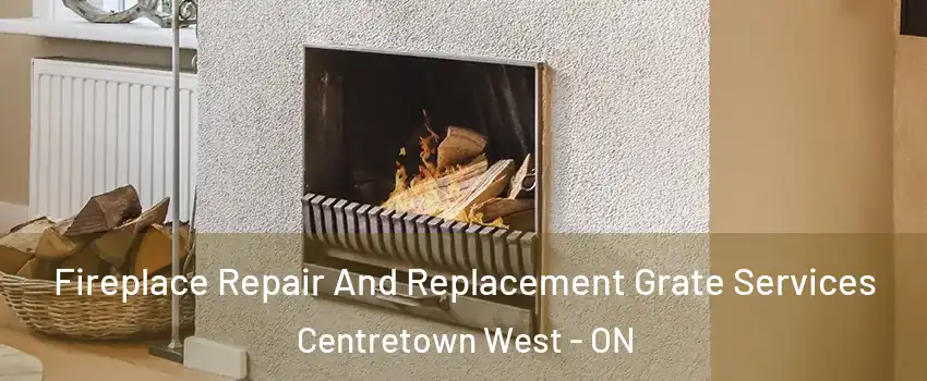  Fireplace Repair And Replacement Grate Services Centretown West - ON