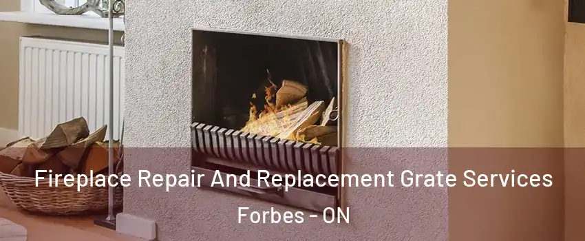  Fireplace Repair And Replacement Grate Services Forbes - ON