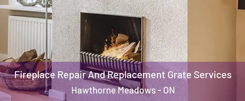  Fireplace Repair And Replacement Grate Services Hawthorne Meadows - ON