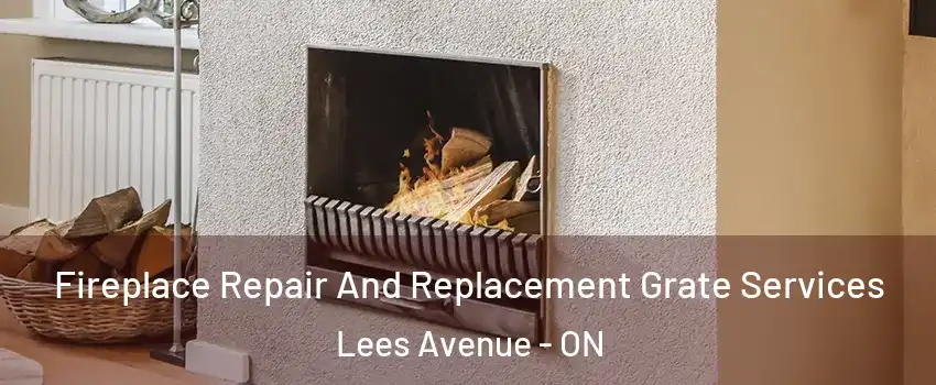  Fireplace Repair And Replacement Grate Services Lees Avenue - ON