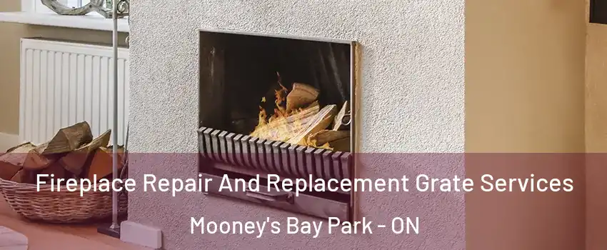  Fireplace Repair And Replacement Grate Services Mooney's Bay Park - ON