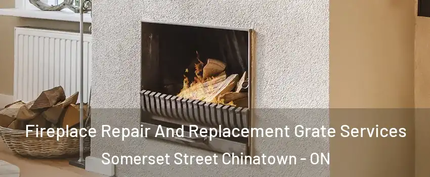  Fireplace Repair And Replacement Grate Services Somerset Street Chinatown - ON