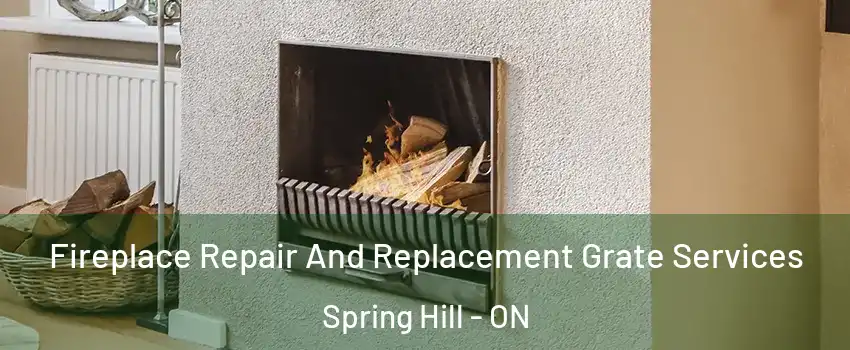  Fireplace Repair And Replacement Grate Services Spring Hill - ON