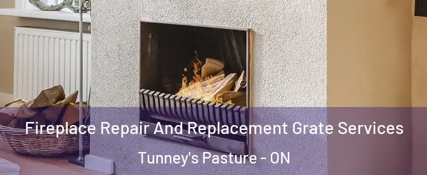  Fireplace Repair And Replacement Grate Services Tunney's Pasture - ON