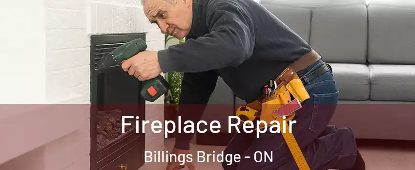  Fireplace Repair Billings Bridge - ON