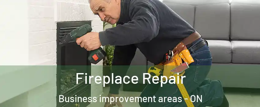  Fireplace Repair Business improvement areas - ON