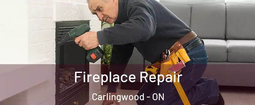  Fireplace Repair Carlingwood - ON