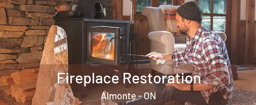  Fireplace Restoration Almonte - ON