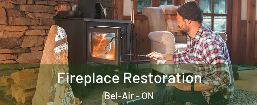  Fireplace Restoration Bel-Air - ON