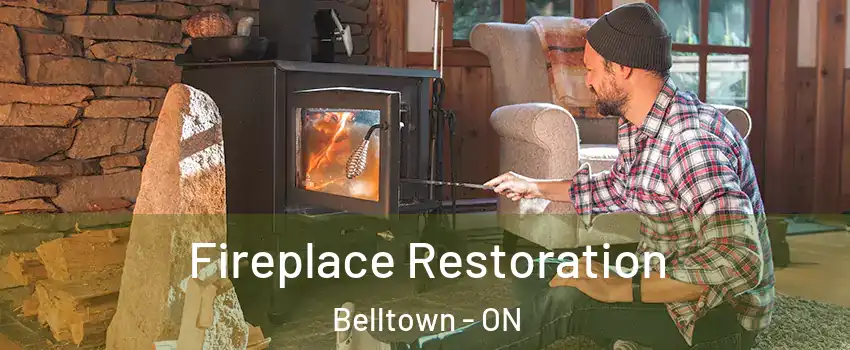  Fireplace Restoration Belltown - ON