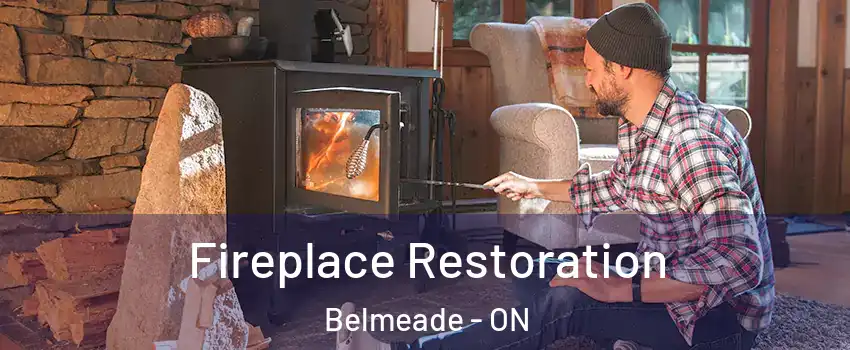  Fireplace Restoration Belmeade - ON