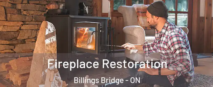  Fireplace Restoration Billings Bridge - ON