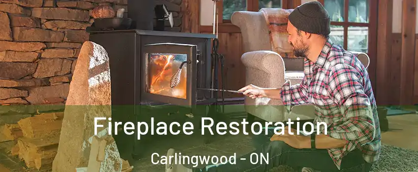  Fireplace Restoration Carlingwood - ON