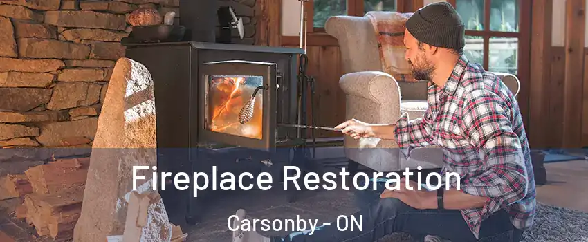  Fireplace Restoration Carsonby - ON