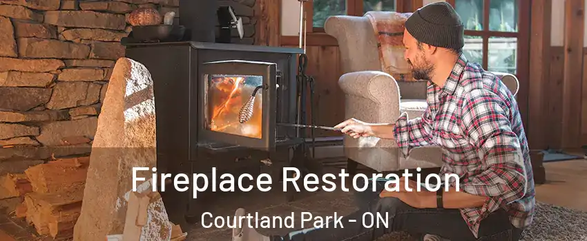  Fireplace Restoration Courtland Park - ON