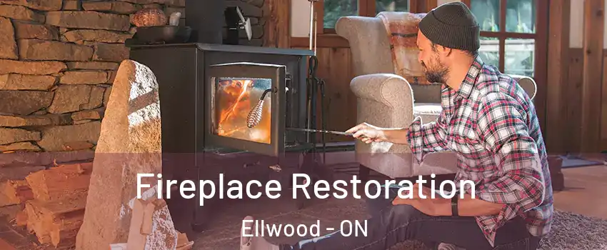  Fireplace Restoration Ellwood - ON