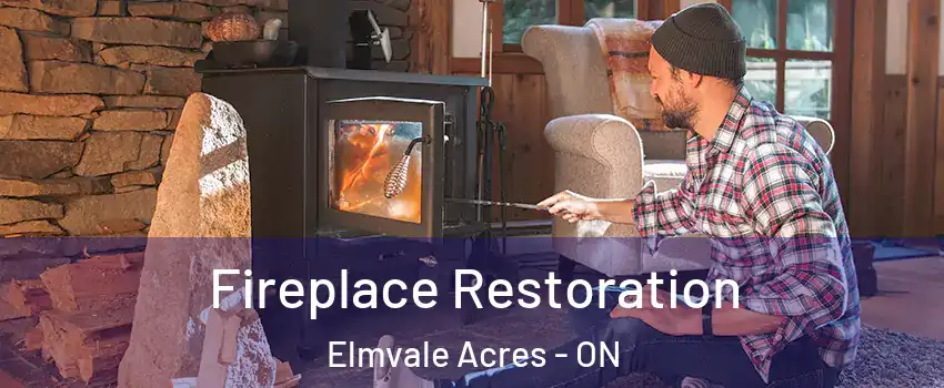  Fireplace Restoration Elmvale Acres - ON